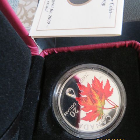 2009 Royal Canadian Mint Crystal Raindrop