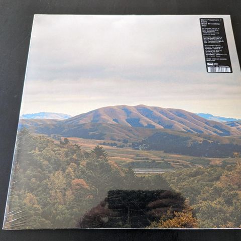 Dirty Projectors + Björk - Mount Wittenberg Orca (LP)(RSD)