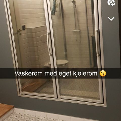 Kjøleromsdører