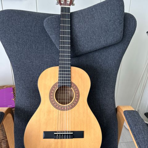 gitar med bærebag og gitarbok