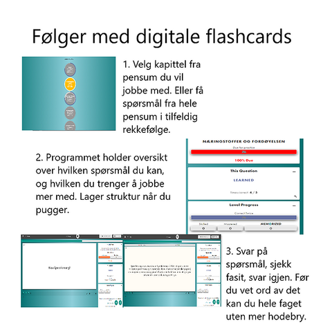 6'er Digitale flashcards til privatister - Historie, Norsk, Engelsk og Naturfag