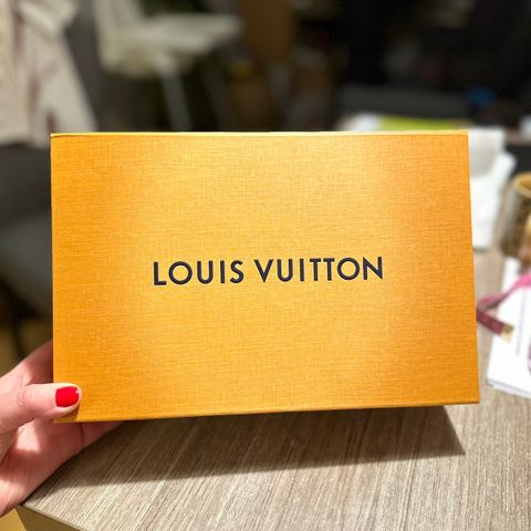 Louis Vuitton eske + pose