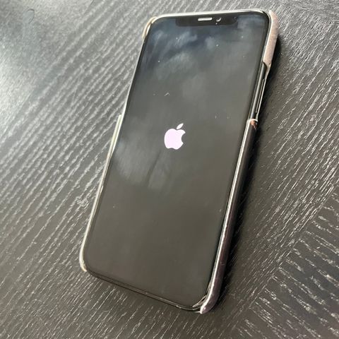 iPhone 11 pro