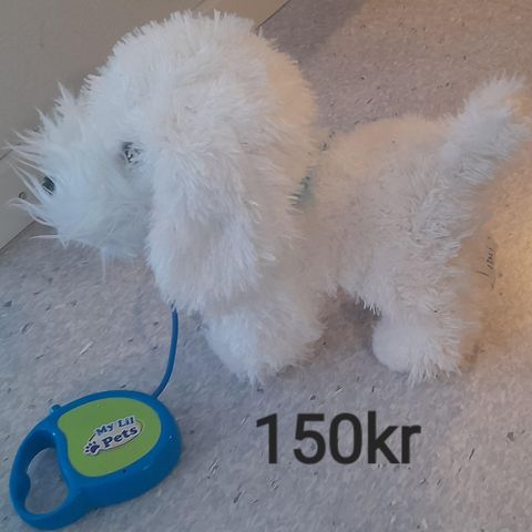 Hund i bånd..