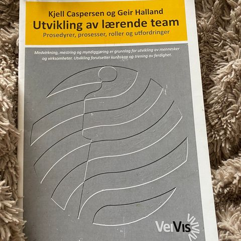 utvikling av lærende team