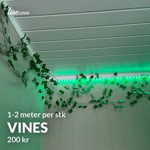 Vines/lianer