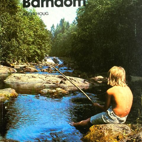 Arild Nyquist: "Barndom". Paperback