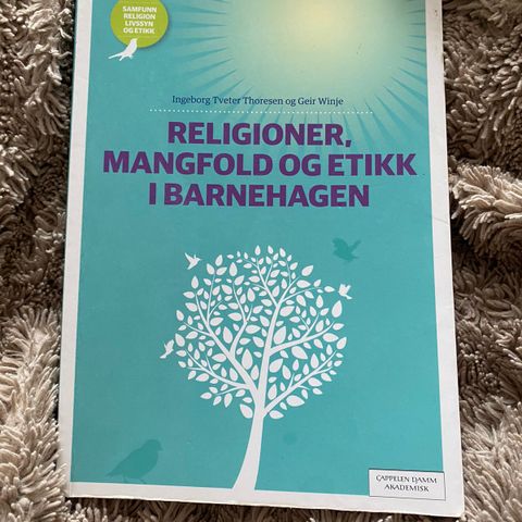 religioner, mangfold og etikk i barnehagen