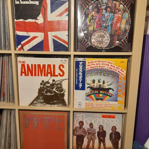 Animals,  Beatles,...