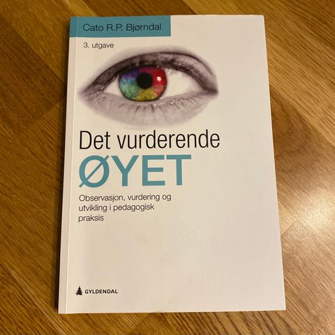 Det vurderende øyet