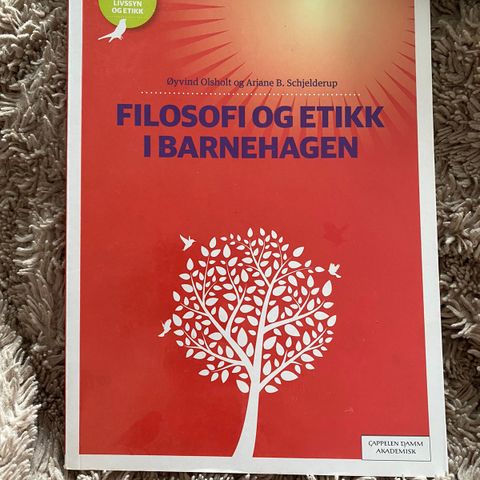 filosofi og etikk i barnehagen