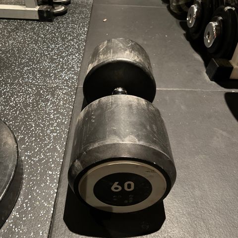 Abilica rubber dumbbell 60kg