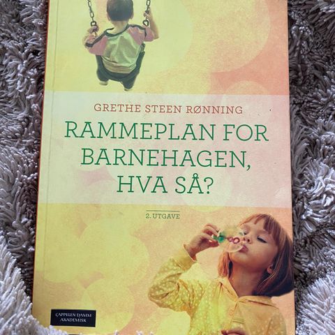 rammeplan for barnehagen, hva så?