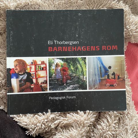 barnehagens rom