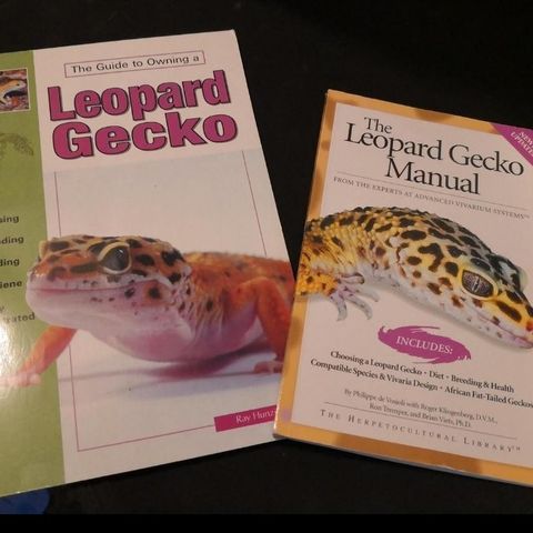 2 stk guide til å holde Leopardgekko