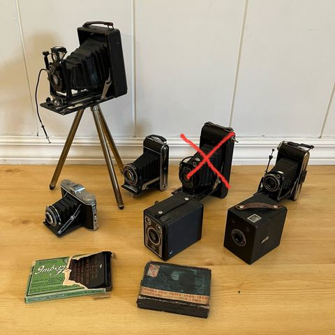 Samling med antikke kameraer