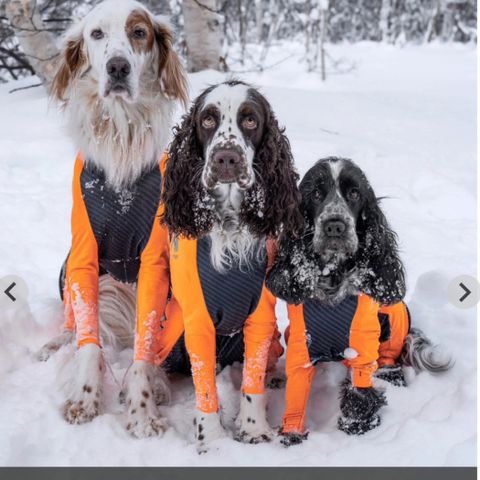 non-stop heldress til hund str M (male)