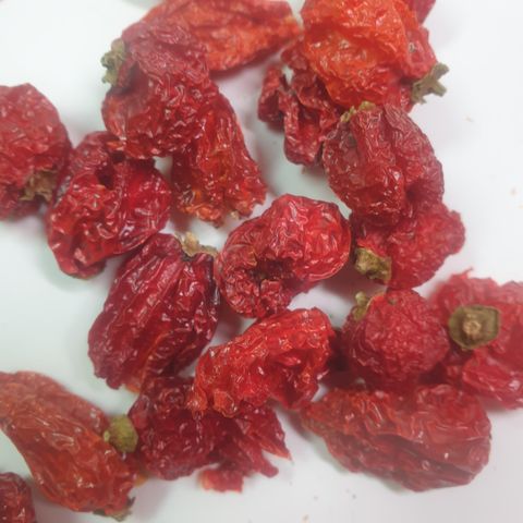 Carolina reaper