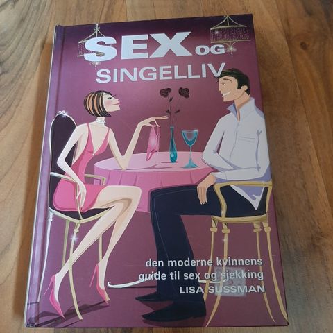 Sex og singelliv: den moderne kvinnens guide til sex og sjekking Lisa Sussman