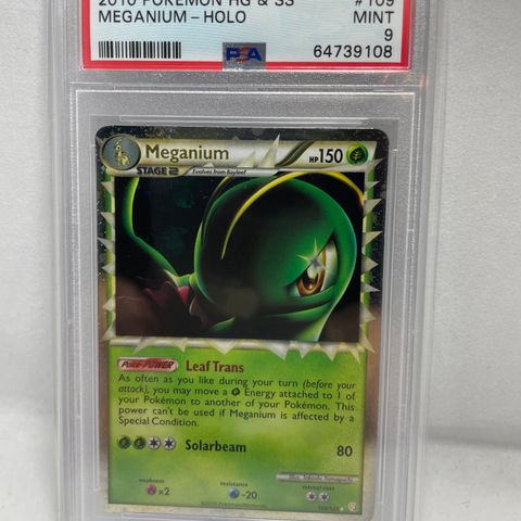 Pokemon Meganium Prime