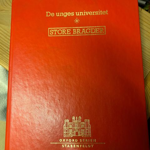 De unges universitet