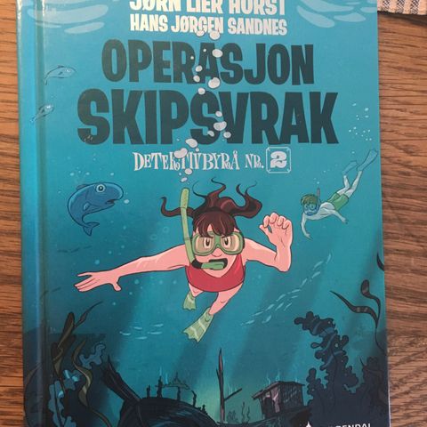 Operasjon Skipsvrak (bok)