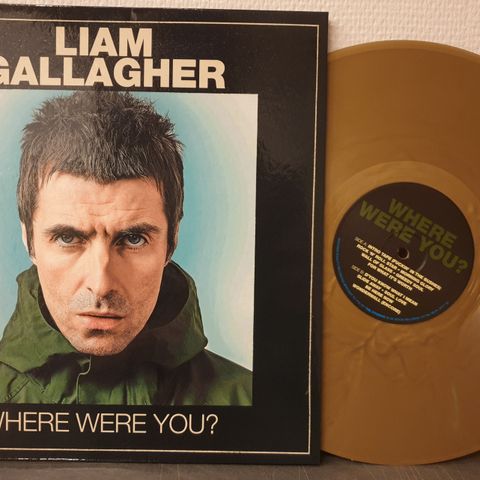 28327 Gallahger, Liam - Where Were You? (gold vinyl)
