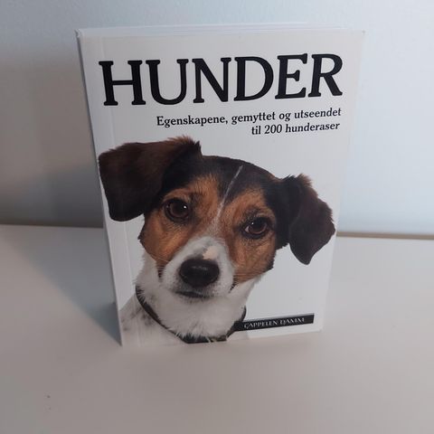 Hjelp til kjøp av hund? En bok om ulike hunderaser