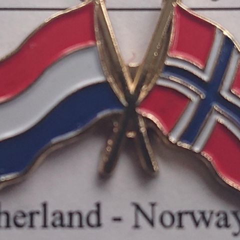 Vennskapsflagg pins Nederland - Norge selges