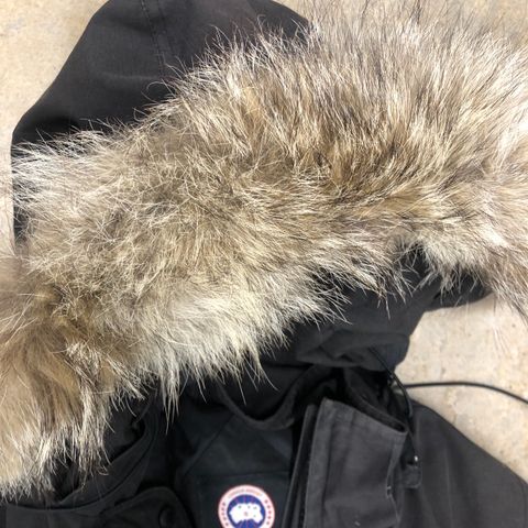 canada goose expedition svar Mediun