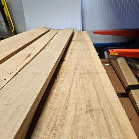 Amerikansk Hickory