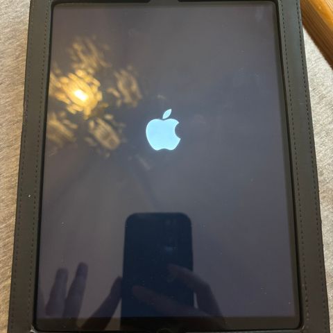 APPLE IPAD AIR A1474