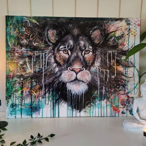 Akrylmaleri av Løve. Stort liggende løvemotiv 80 x 60 cm