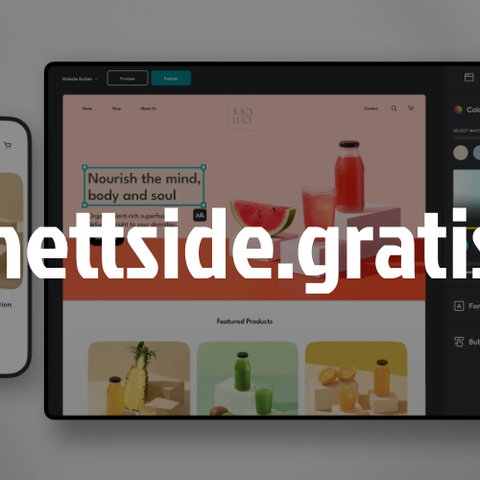 NETTSIDE.GRATIS DOMENE