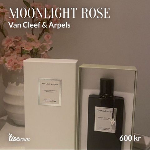 Moonlight rose parfyme
