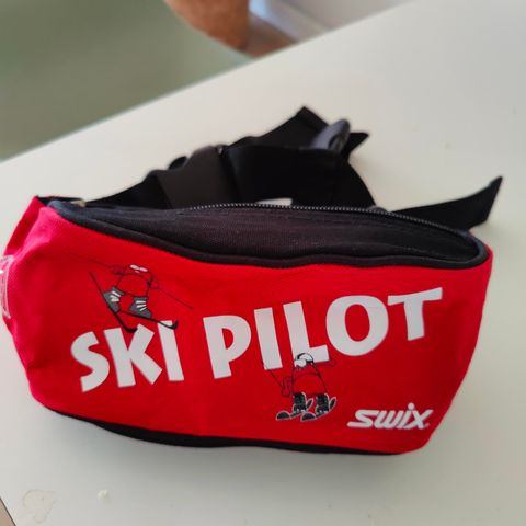 Ski pilot