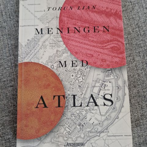 Meningen med Atlas - Torun Lian