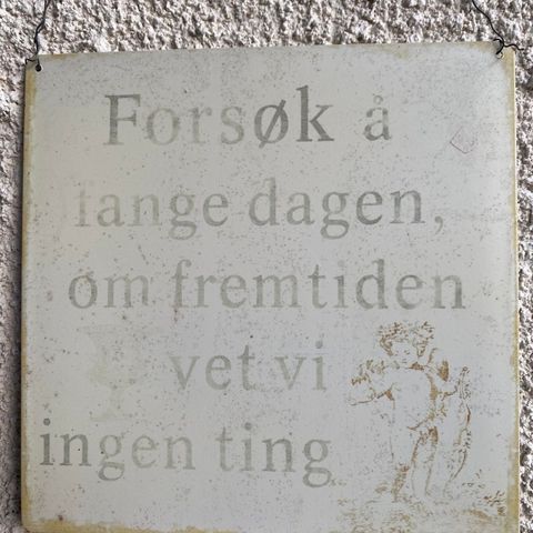 «Forsøk å fange dagen» koselig blikkskilt, 22cm x 22cm