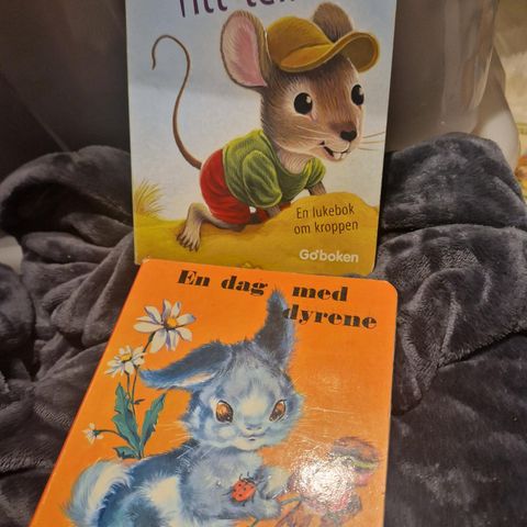 2 eldre barnebøker