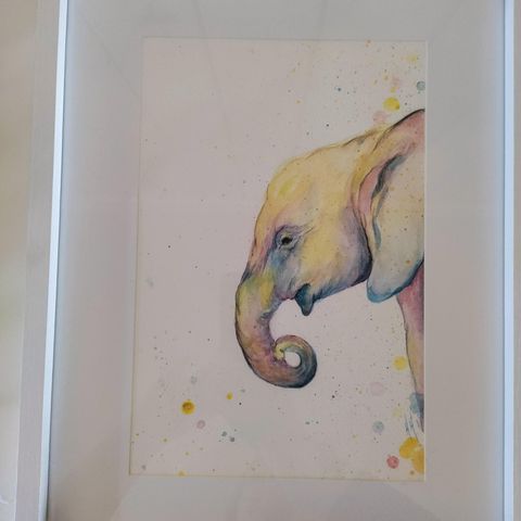 Innrammet orginalt akvarell maleri. Elefant. 40 x 50 cm