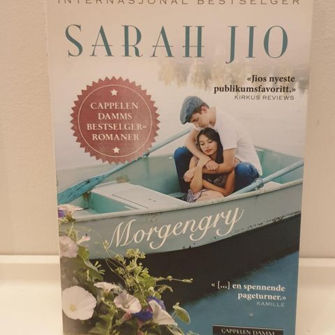 Bok" Morgengry" av Sarah Jio