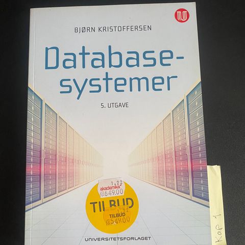 Databasesystemer