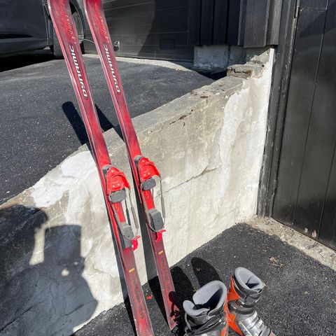 telemarkski med binding og evt. sko i størrelse 39/40.