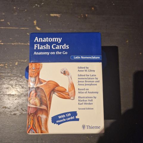 Flashcards anatomi