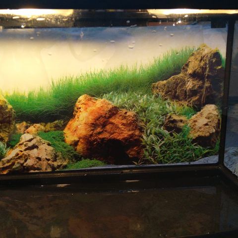 Aquarium 60L RESUM-DM