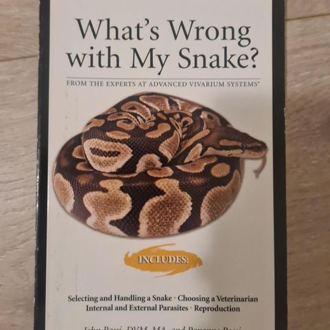 Whats wrong with my snake?