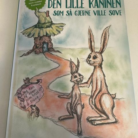 Den lille kaninen som så gjerne ville sove