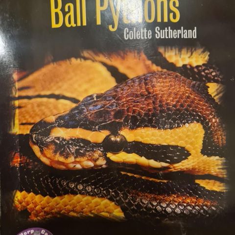 Ball Pythons