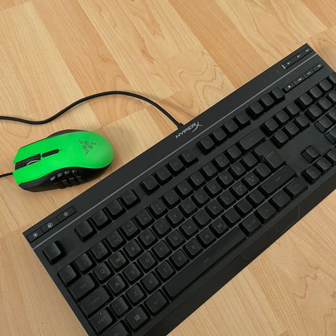 Razer & HyperX