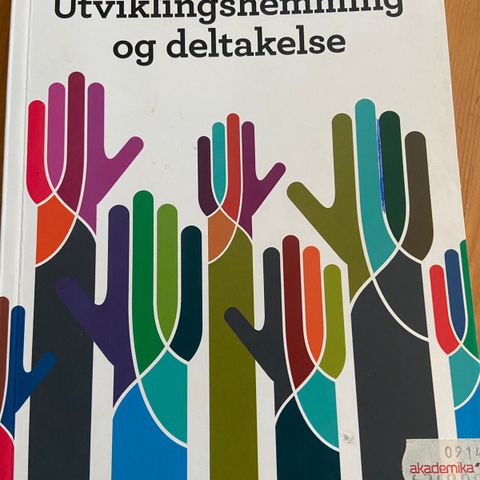 Utviklingshemming og deltakelse